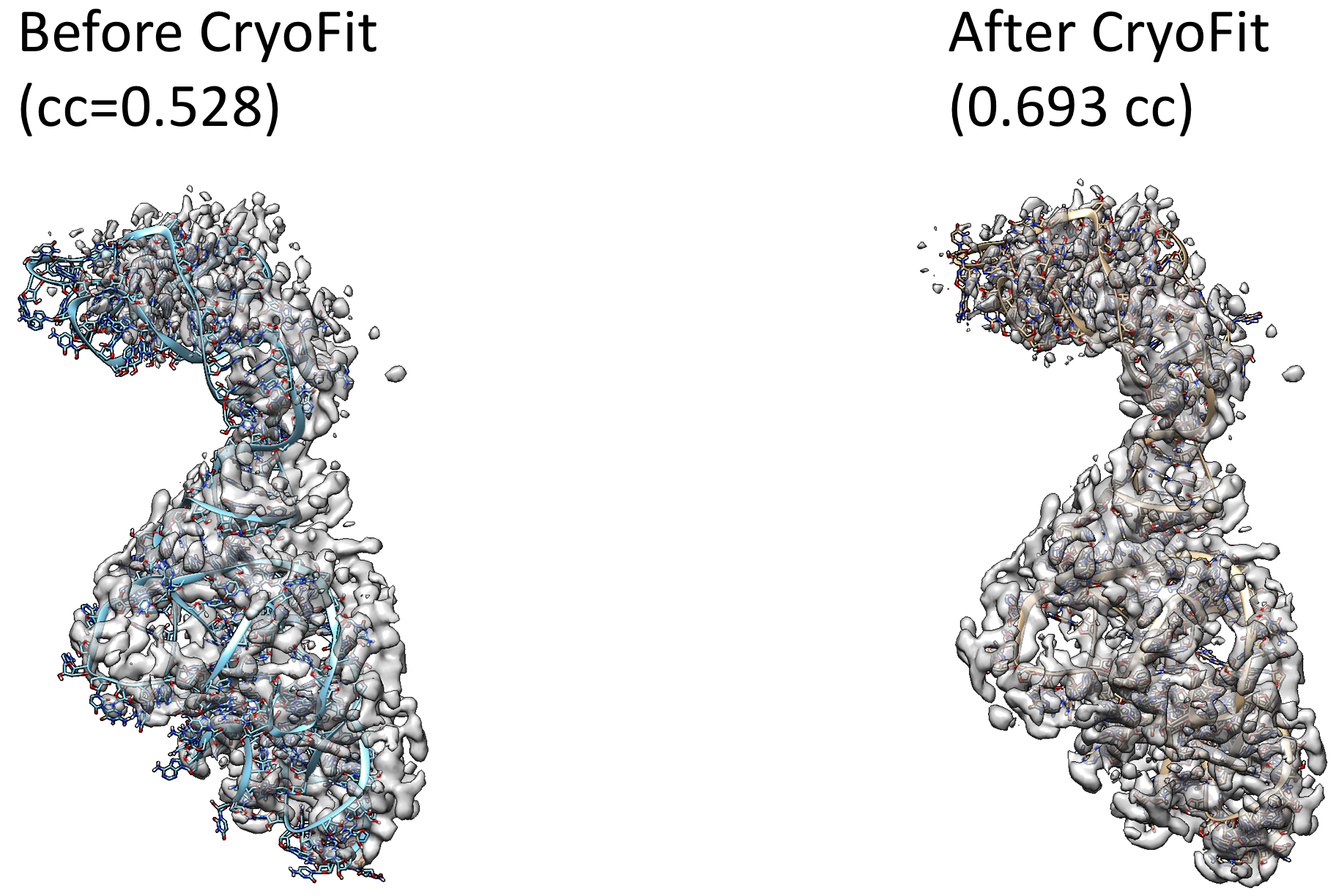 ../images/cryo_fit_tRNA.png