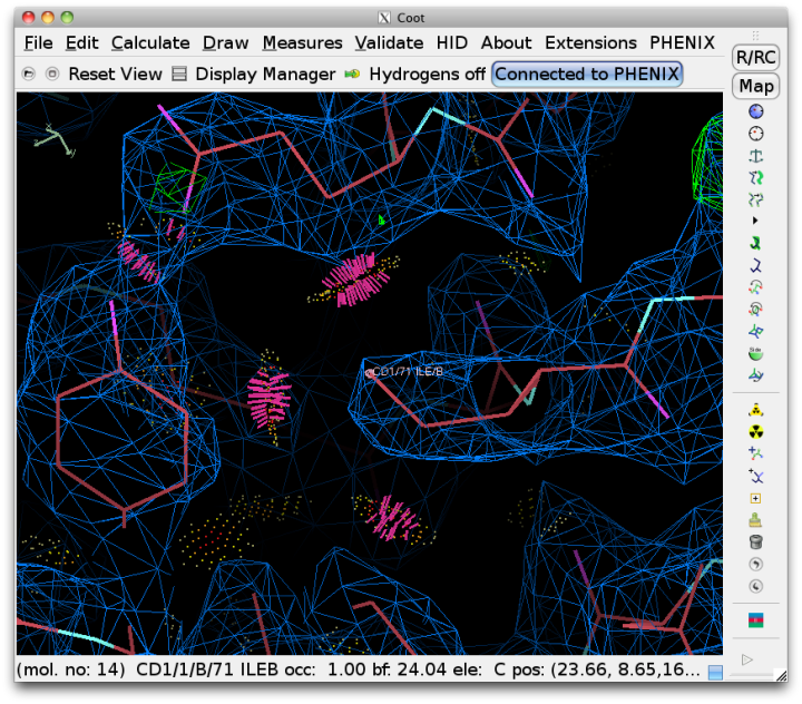 images/coot_probe_dots.png