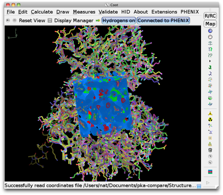 images/structure_comparison_coot.png