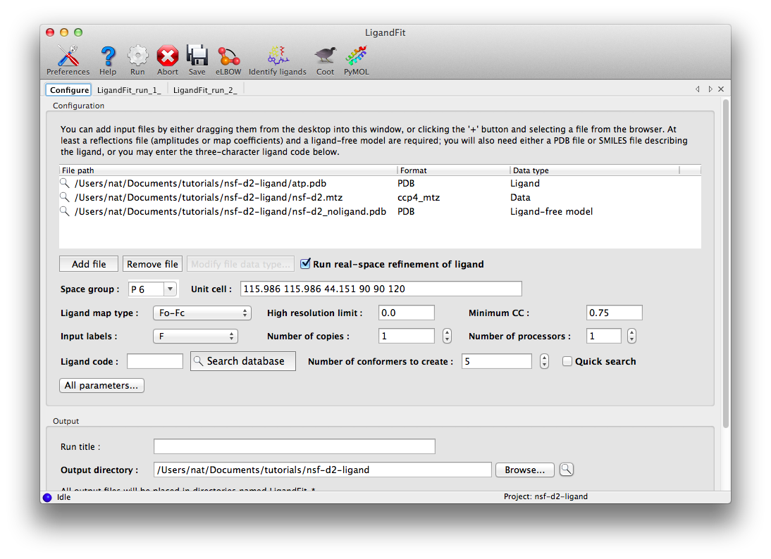 images/nsfd2_ligandfit_input.png